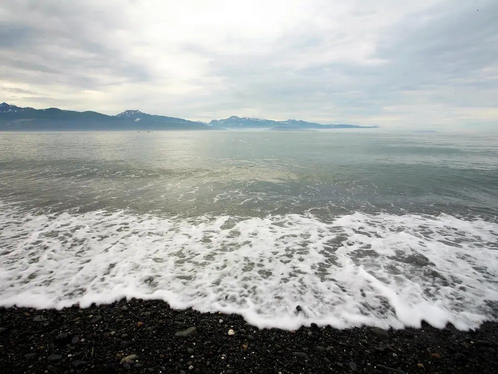 8 Must-Visit Attractions in Anchor Point Alaska